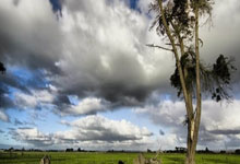 黑白体育直播：[CBA]威尔逊妙传 李弘权三分命中打停新疆.