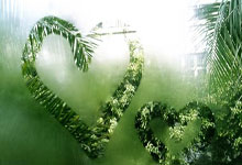 绝杀取胜！巴西2-1哥伦比亚全场数据：射门16-10，射正7-3.