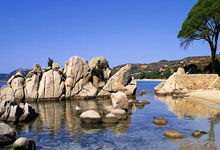 状态出色！塔图姆复出轰下29分10板8助.